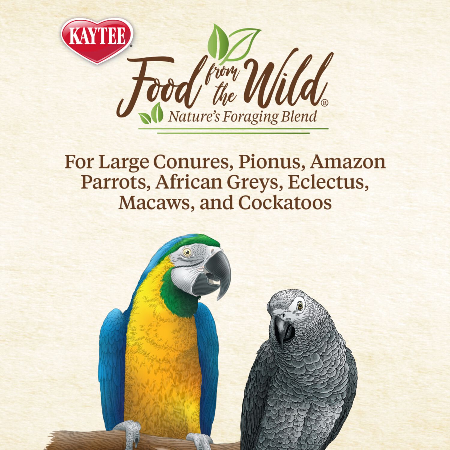 Kaytee Food From The Wild Limited Ingredient Natural Snack Medium & Large Bird Treats, 3-Oz