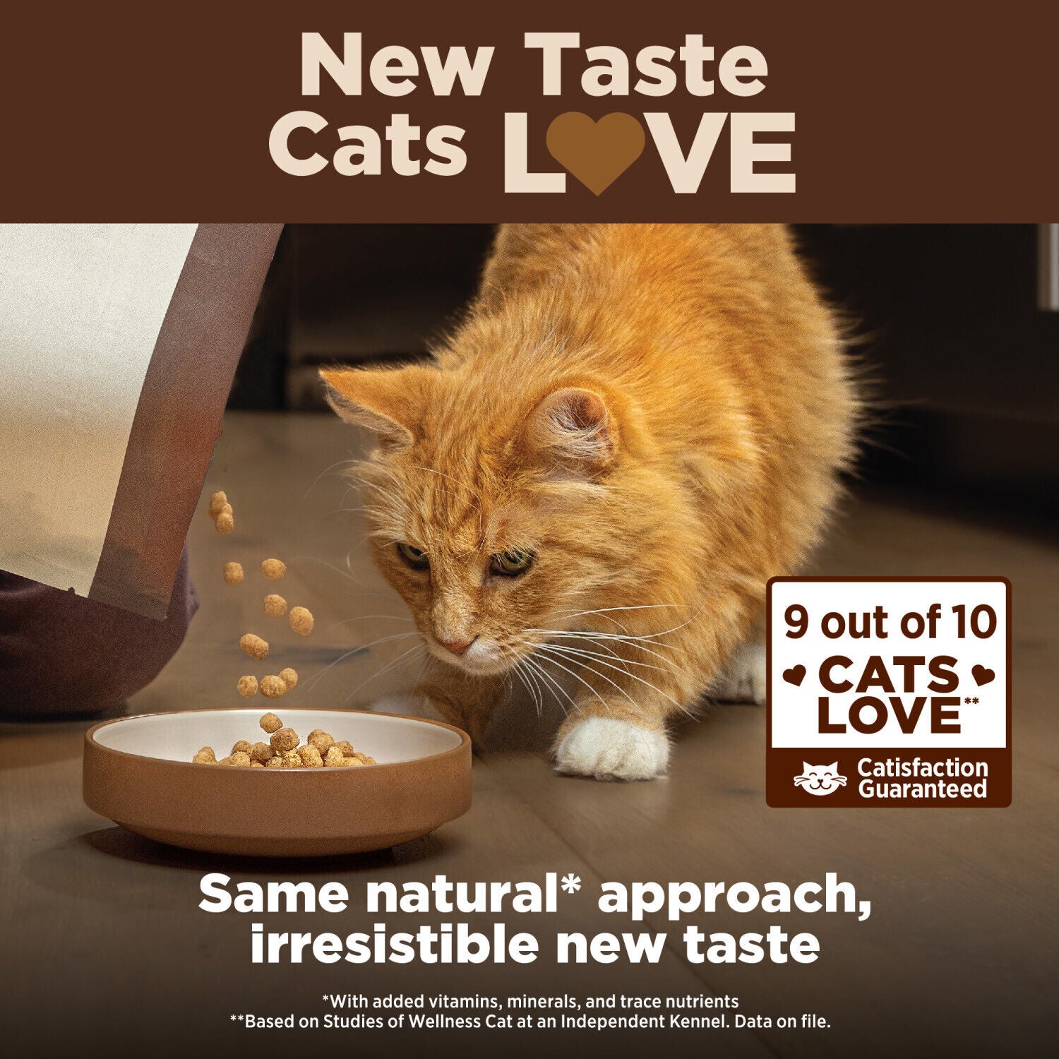 Wellness Core+ Adult Dry Cat Food For Indoor Cats, Grain Free, Natural, Chicken, Turkey & Chicken Meal - 5-Lb