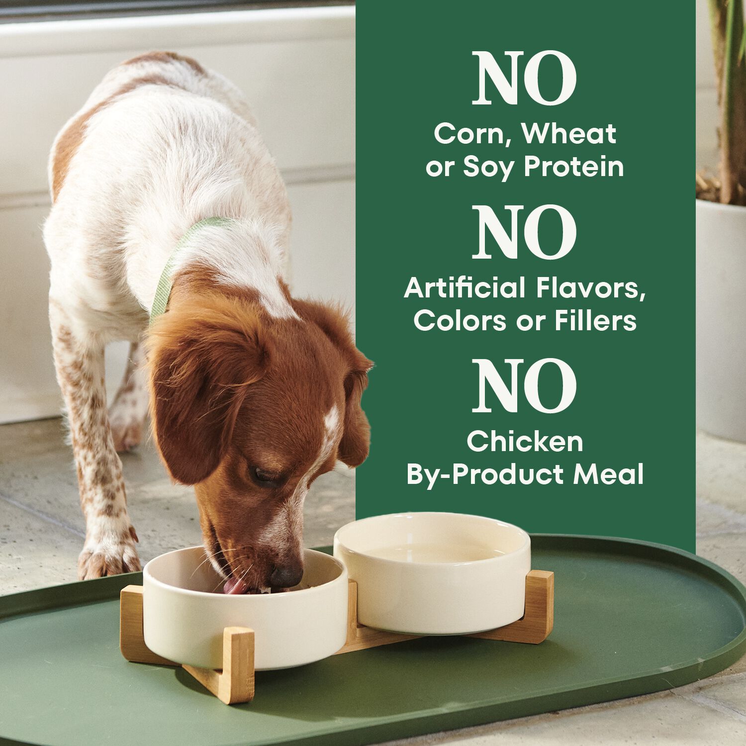 Nutro Natural Choice Adult Small Bites Lamb & Brown Rice Recipe Dry Dog Food, 30-Lb Bag