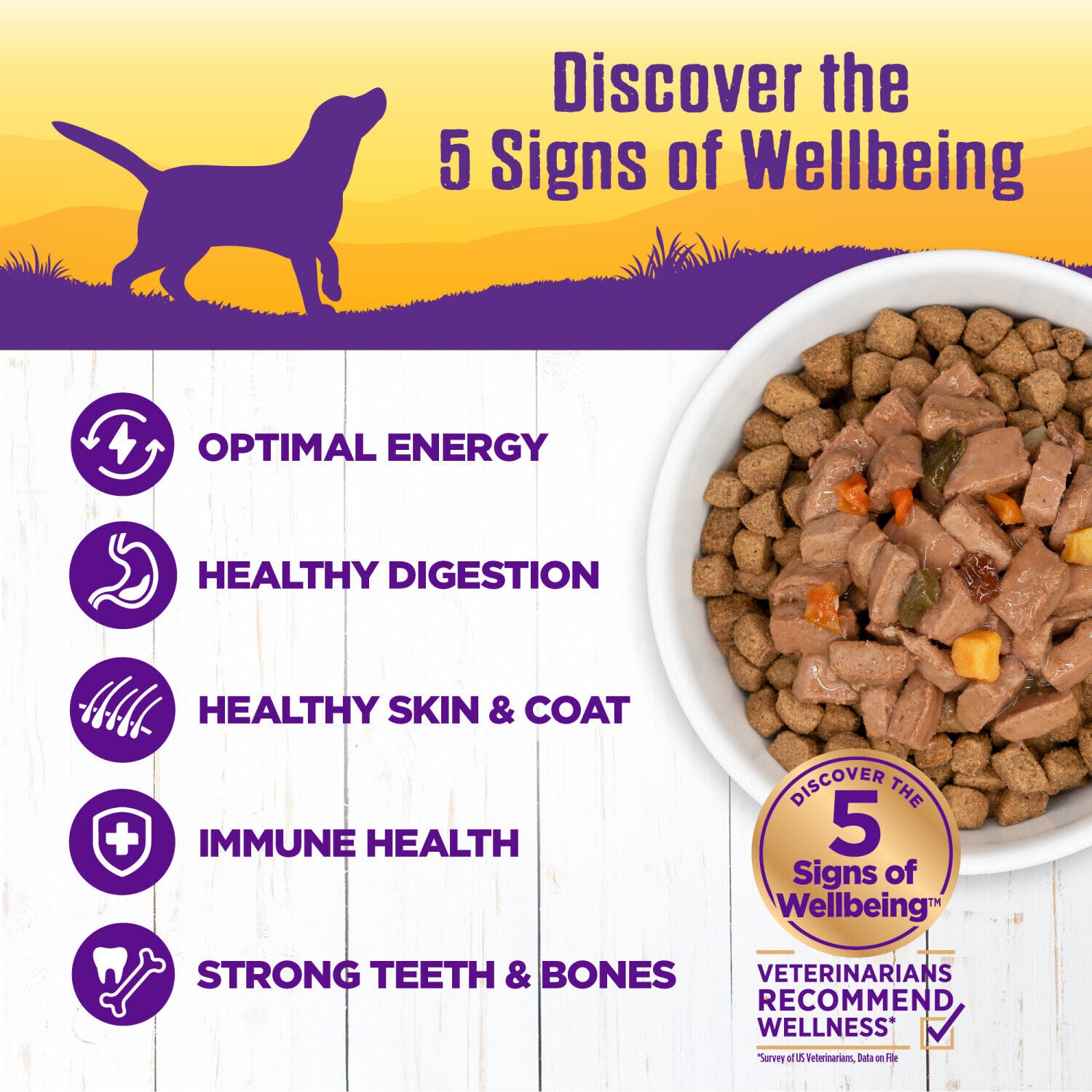 Wellness Complete Health Grain Free Canned Wet Dog Food, Turkey & Duck Stew, 12.5-Ounce Can