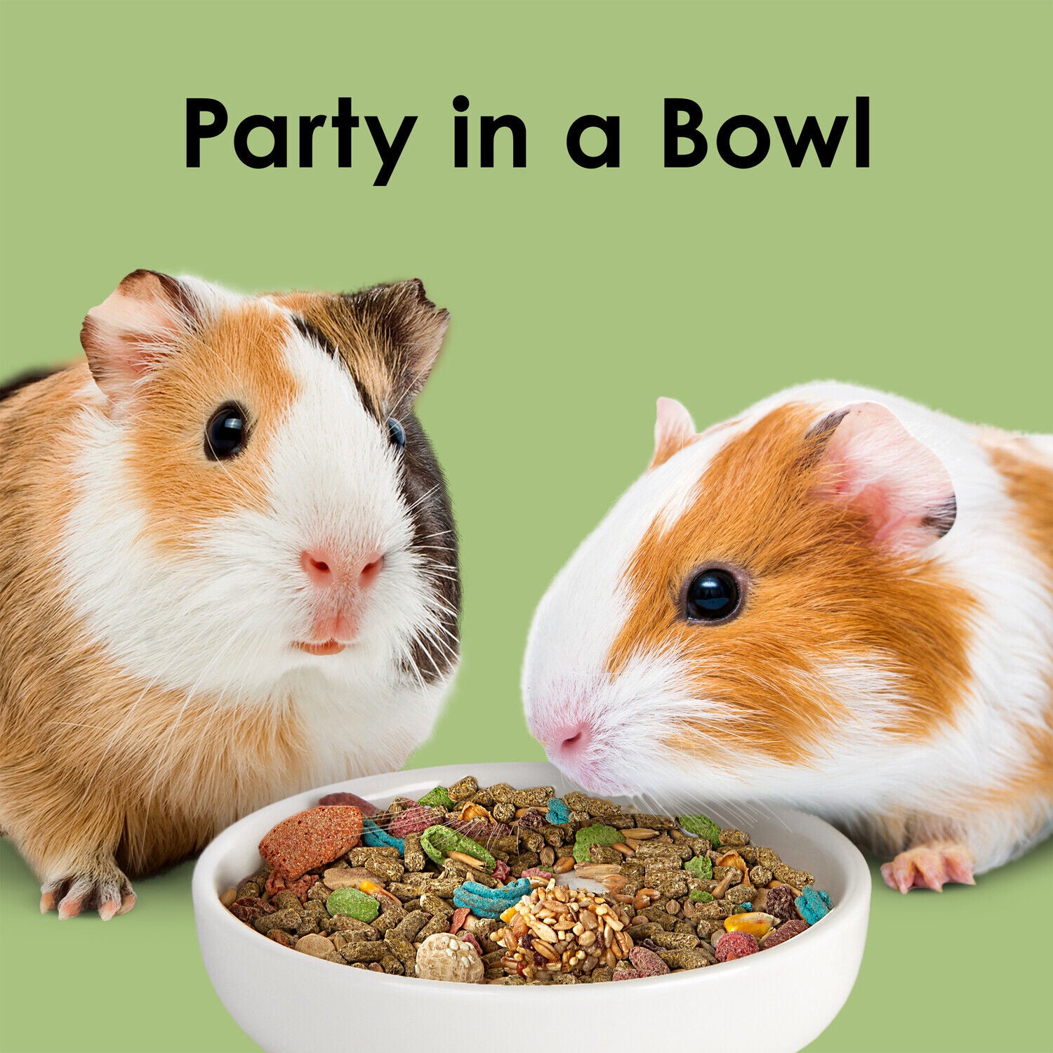 Kaytee Fiesta Guinea Pig Food, 2.5-Pounds