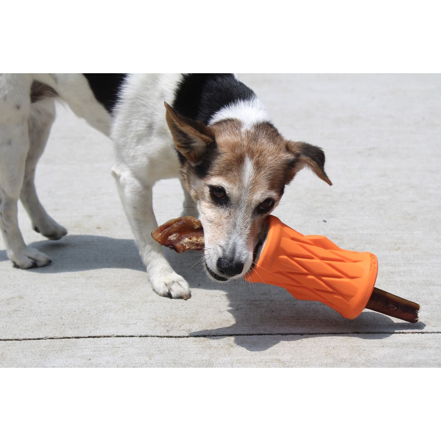 Tall Tails Natural Rubber Tree Trunk Interactive Treat Dispensing Dog Toy, 5"