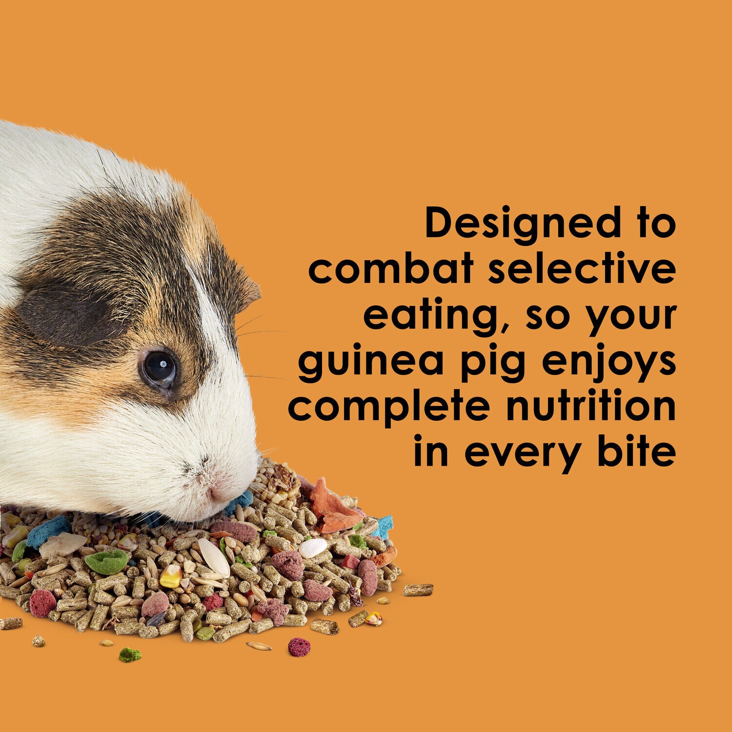 Kaytee Fiesta Guinea Pig Food, 2.5-Pounds
