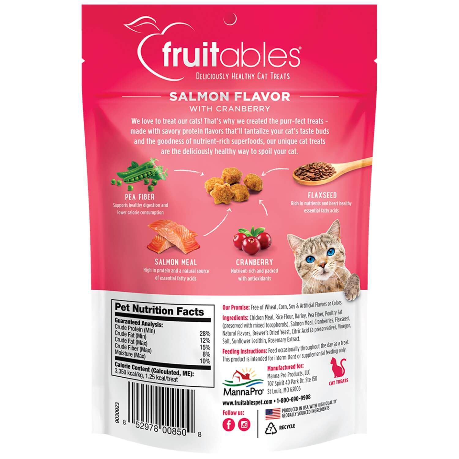 Fruitables Crunchy Salmon Cat Treats