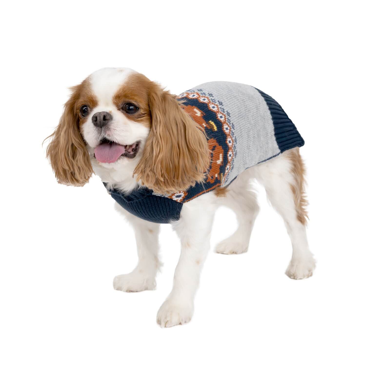 Simply Dog Fair Isle Fall Squirrel Pullover Dog Sweater