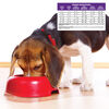 Small Breed Complete Health Healthy Weight thumbnail number 3