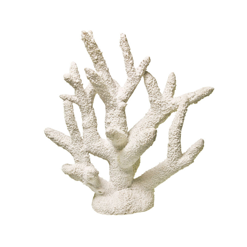 Exotic Environments Staghorn Coral White image number 1