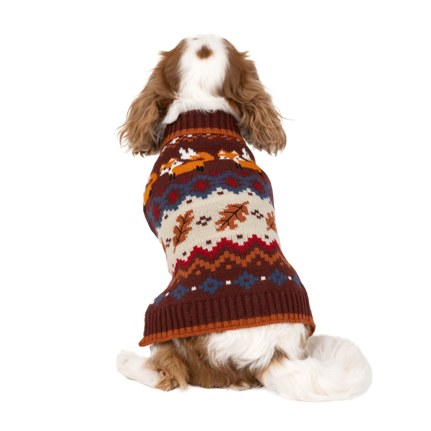 Pet supermarket dog clothes shop