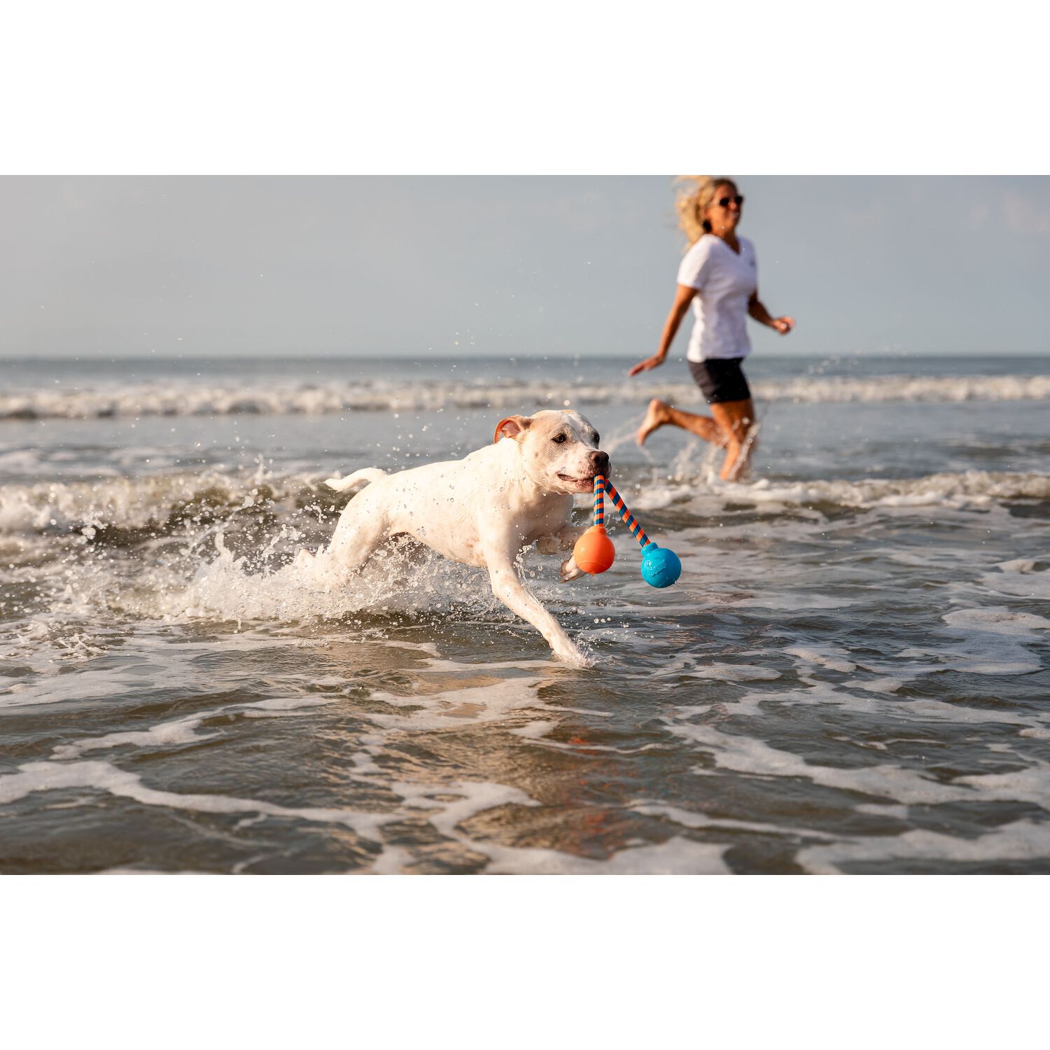 Guru Squeaking Rope Interactive Dog Toy, Medium