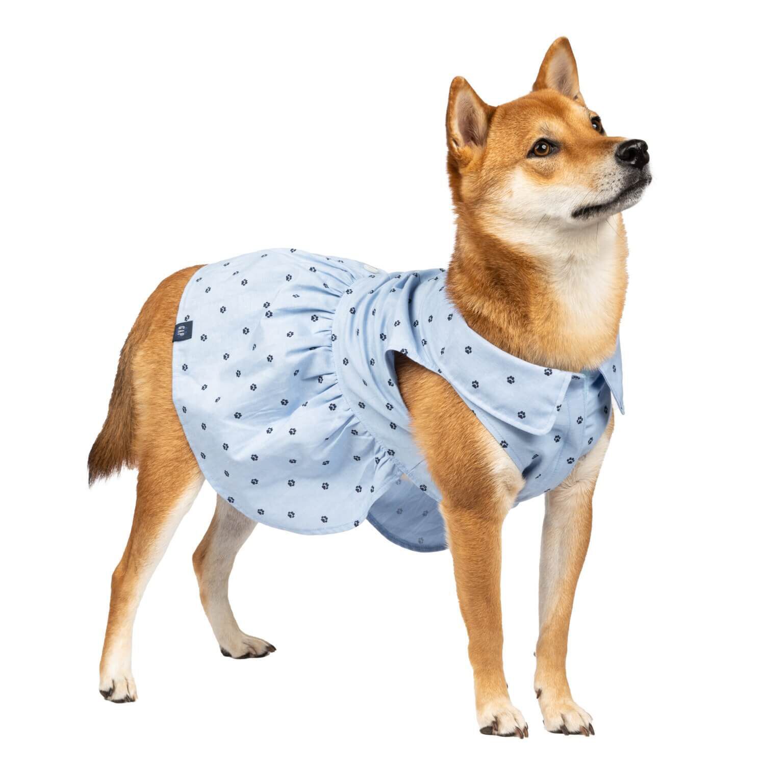 Gap Home Dog Cat Clothes Chambray Paw Print Gap Dog Dress Blue S Each