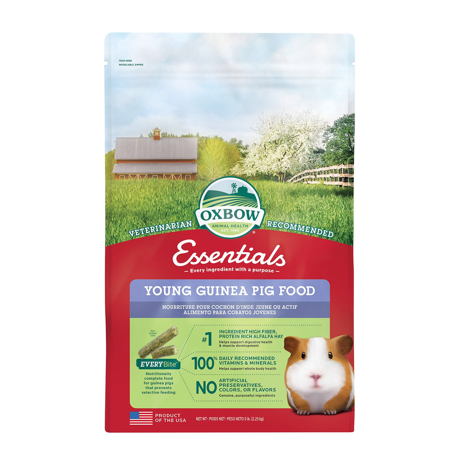 Essentials Young Guinea Pig 5lb | Pet Supermarket-image