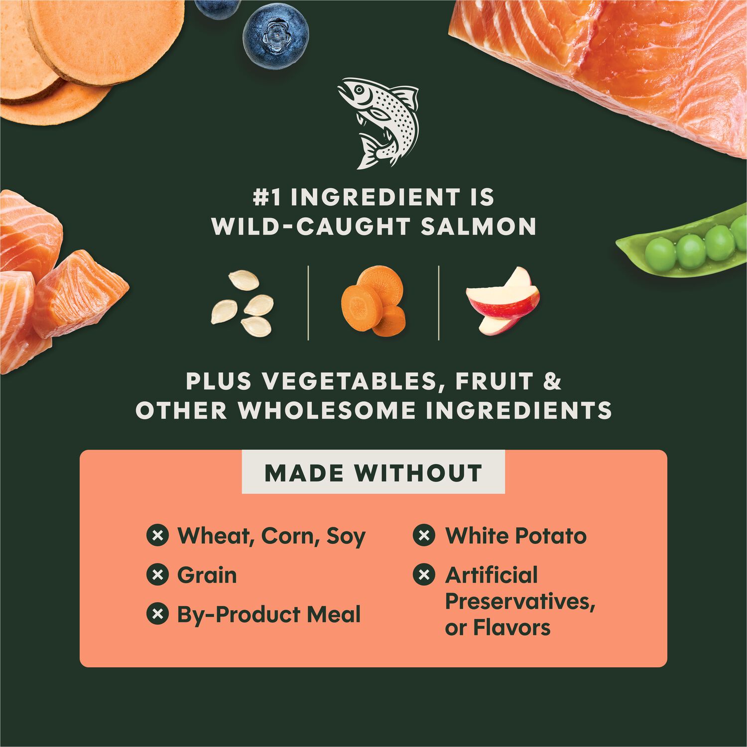 Instinct Raw Boost Grain-Free Recipe With Real Salmon Dry Dog Food, 3.5-Lb