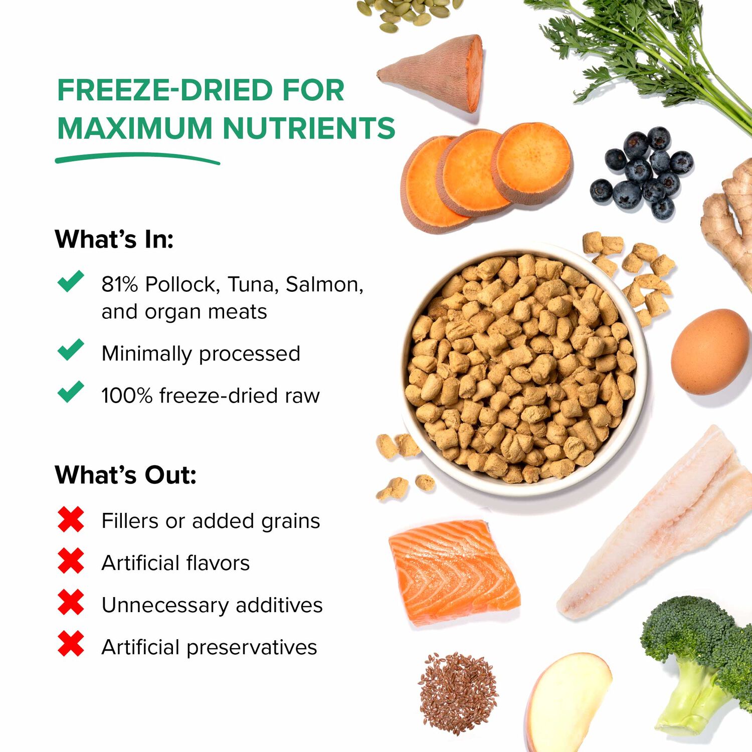 Dr. Marty Nature's Blend Radiant Select Freeze Dried Raw Dog Food, 16-Oz Bag