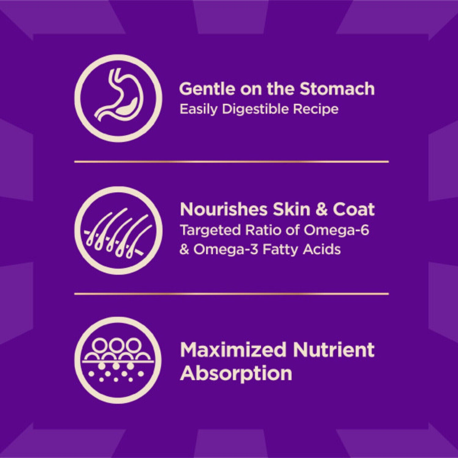 Wellness Core+ Sensitive Skin & Stomach Dry Dog Food With Freeze-Dried Pieces, Wholesome Grains, High Protein, Natural Salmon & Rice Recipe, 18-Lb