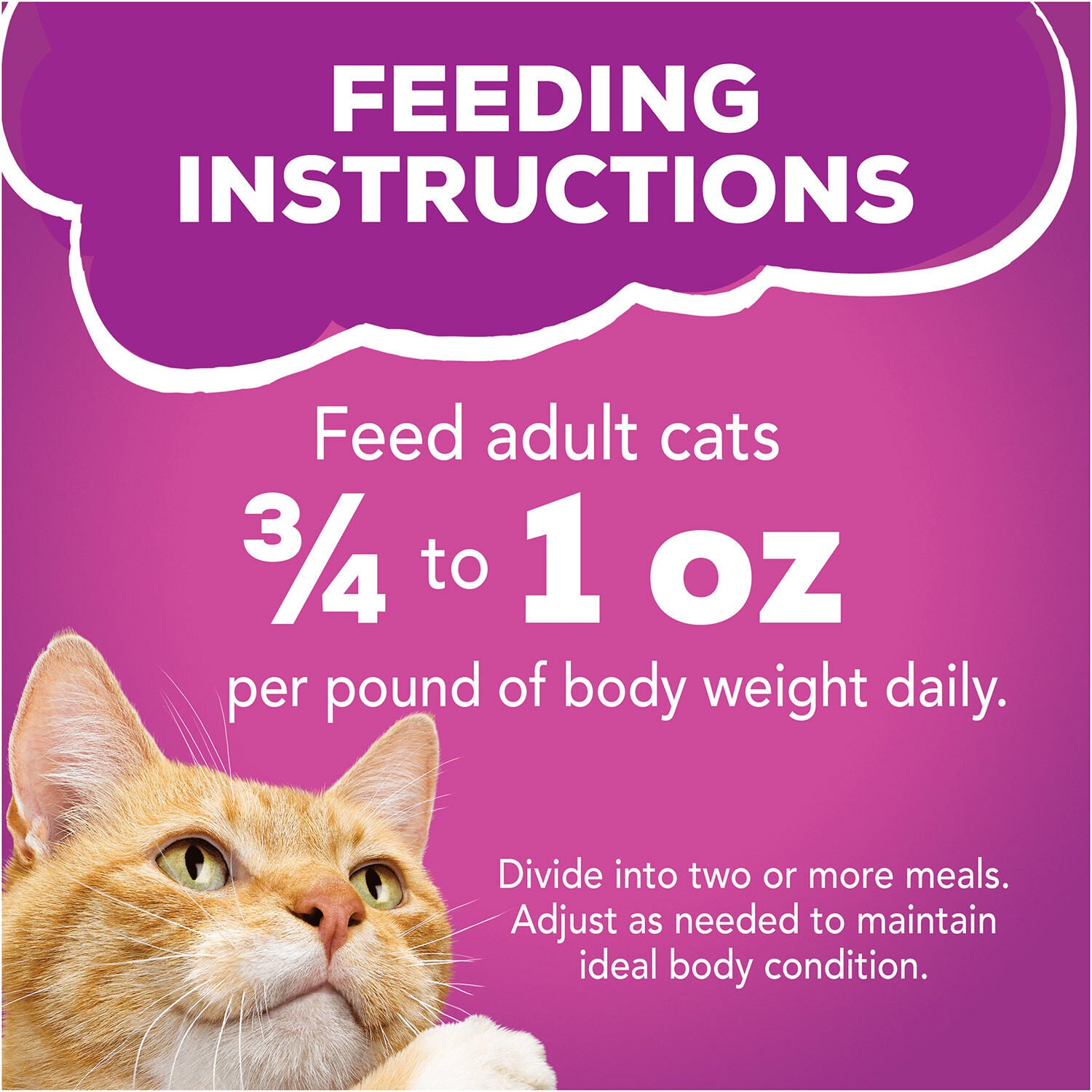 Friskies Poultry Wet Cat Food Variety Pack With 32 5.5 Oz Cans