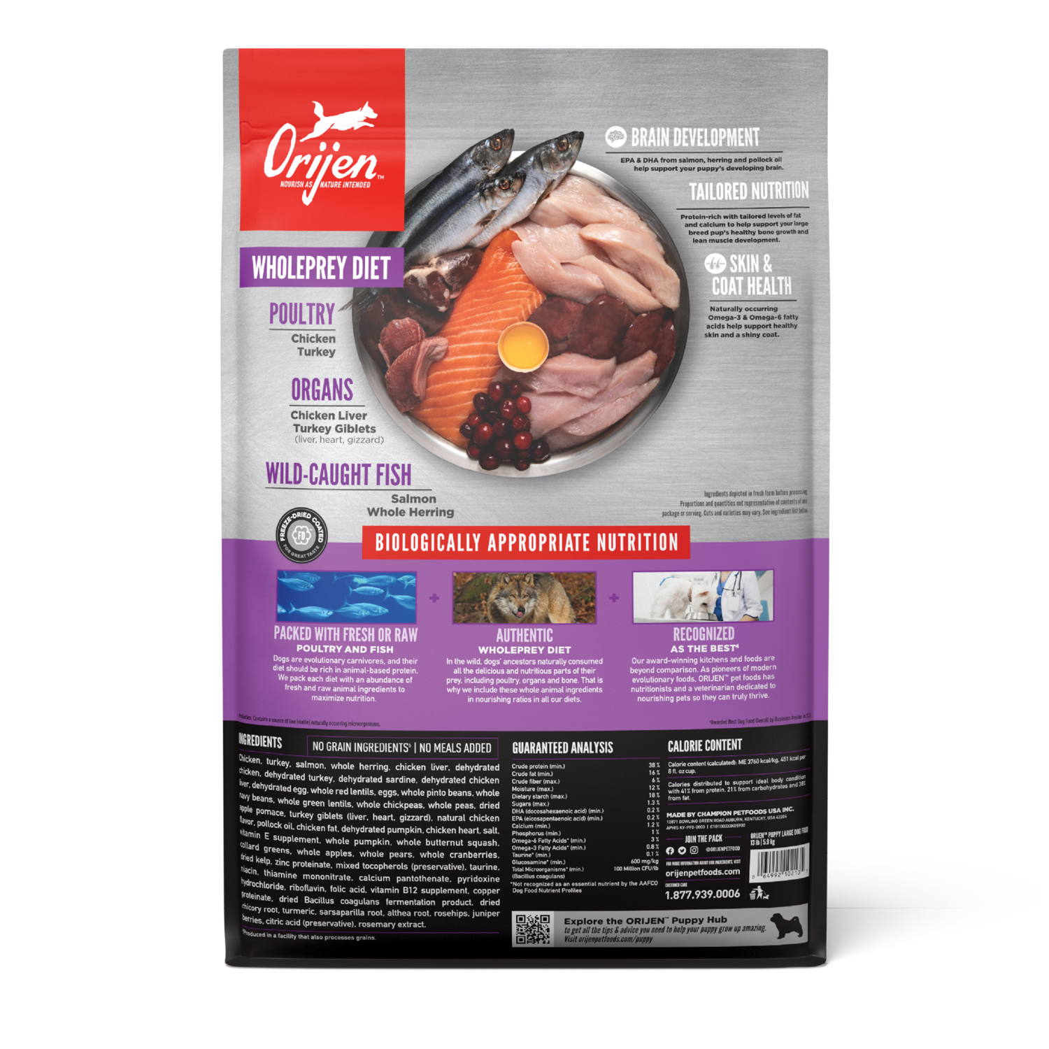 Orijen Large Breed Puppy Grain-Free High-Protein Dry Dog Food, 13-Lb Bag