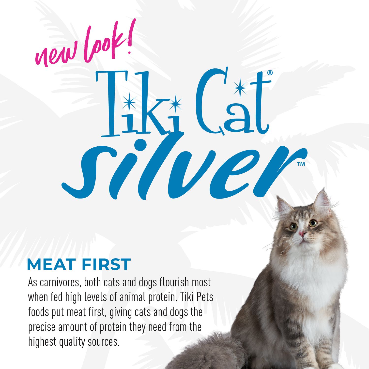 Tiki Cat Silver Mousse Wet Cat Food For Seniors, Chicken & Pumpkin, 2.8-Oz Pouch 12-Count