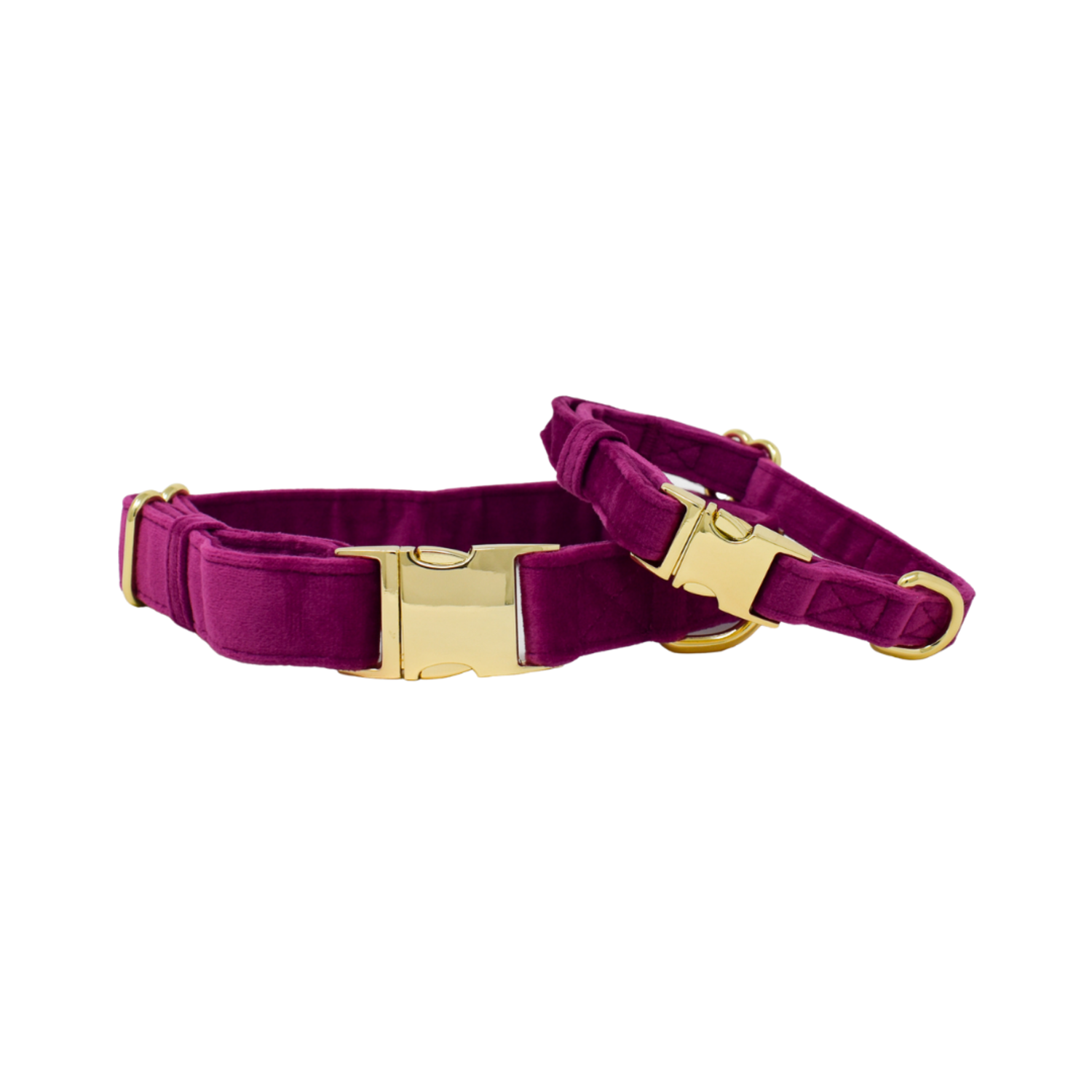 Pink Papyrus August Velvet With Gold Buckle Adjustable Dog Collar, Purple, Small, 11-16"