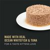 Focus Kitten Flaked Ocean Whitefish & Tuna Entree Cat Food