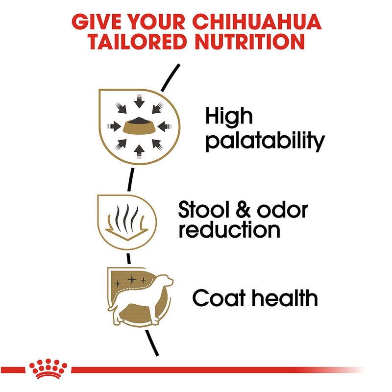 Chihuahua Adult Dog Food image number 3