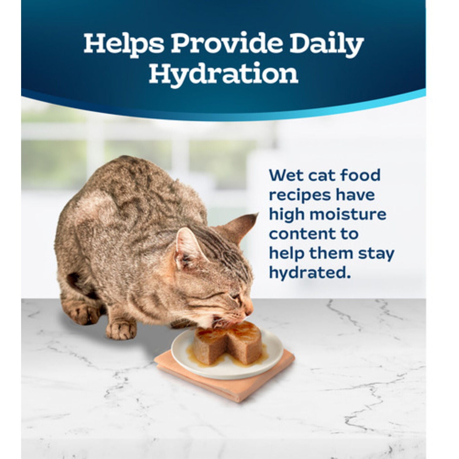 Blue Buffalo Tastefuls Adult Cat Chicken Entree Pate Wet Cat Food, 3-Oz Can