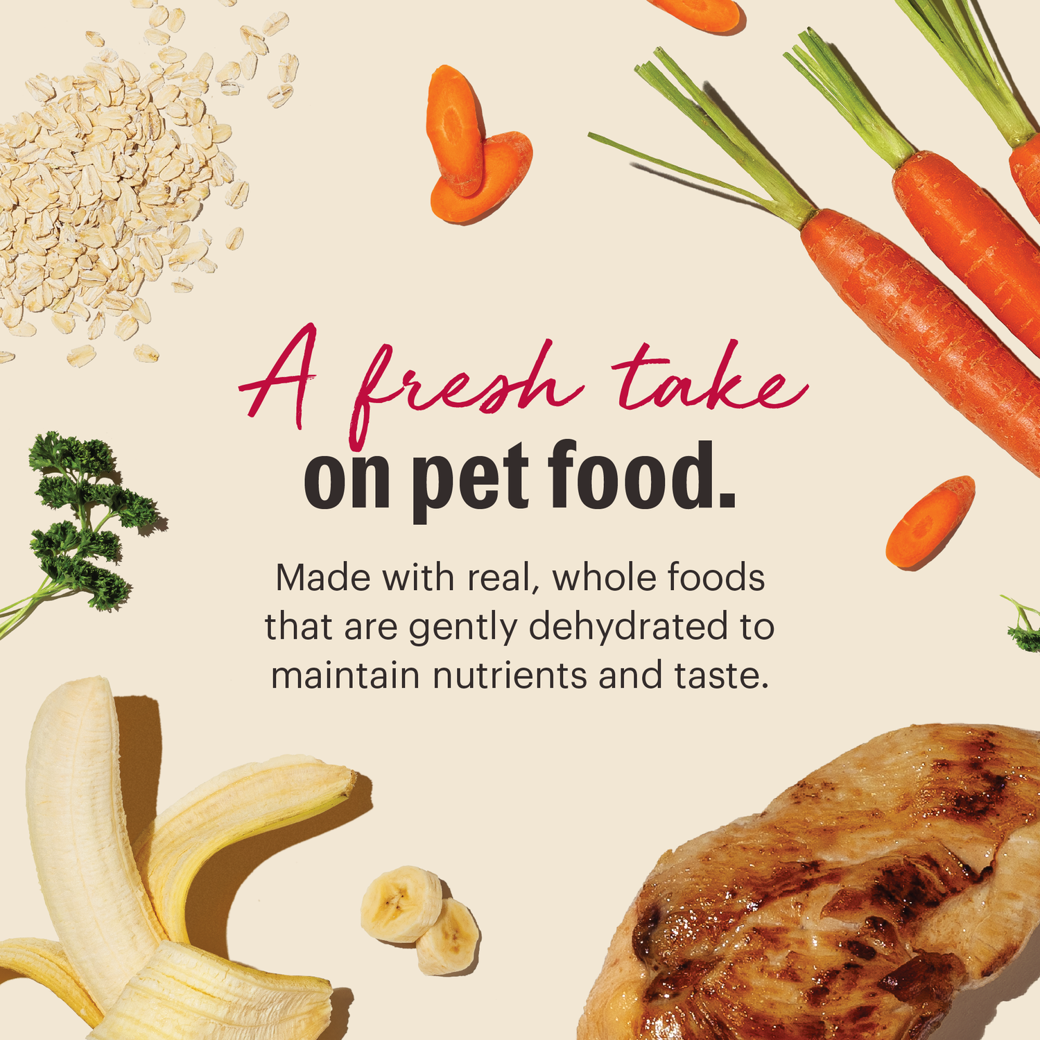 The Honest Kitchen Wholemade Whole Grain Chicken Recipe Dehydrated Dog Food, 7-Lb