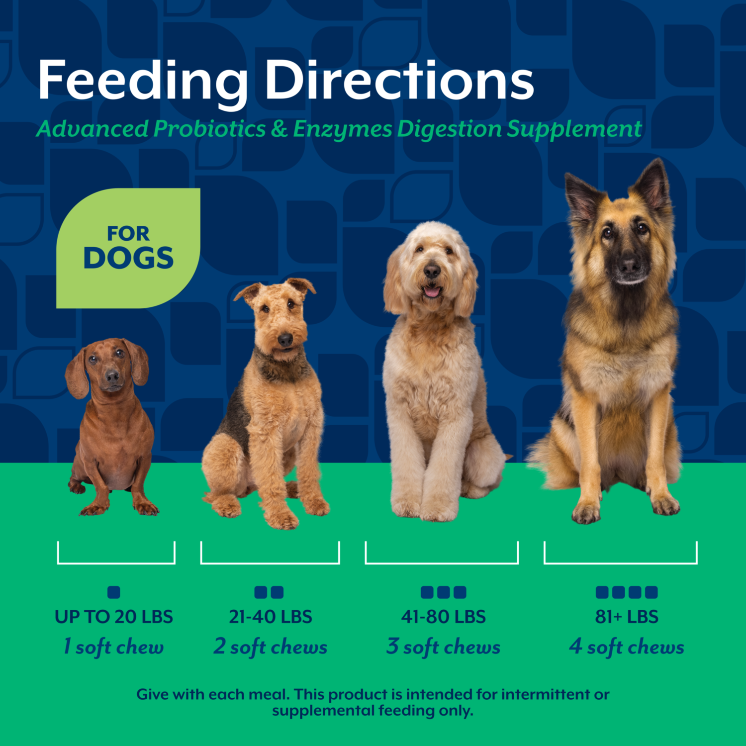 Naturvet Advanced Probiotics And Enzymes Supplement, Plus Vet Strength Pb6 Probiotic For Dogs
