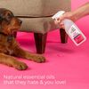 Skout'S Honor Stop Marking! Preventative Spray For Dogs