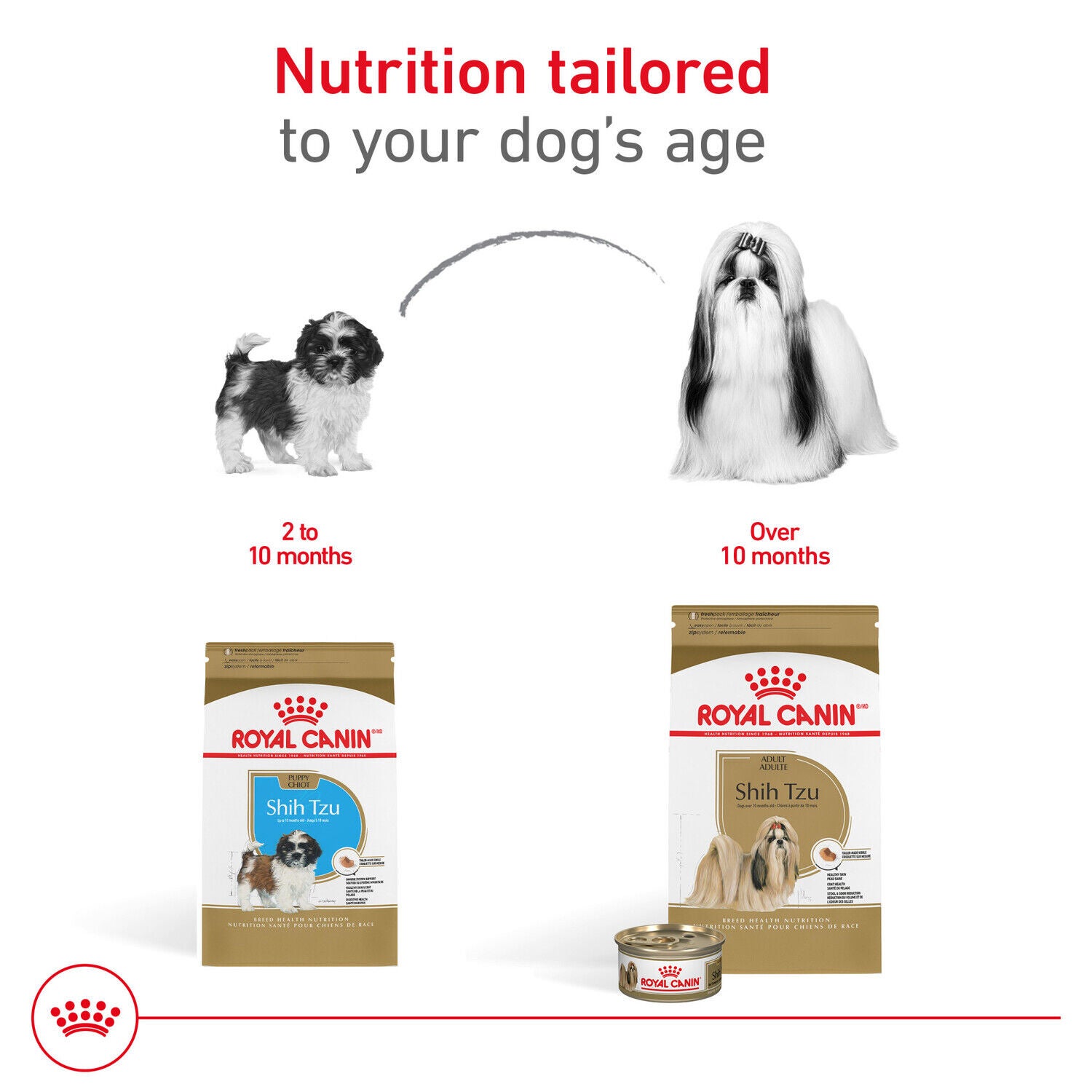 Royal Canin Breed Health Nutrition® Shih Tzu Loaf In Sauce Wet Dog