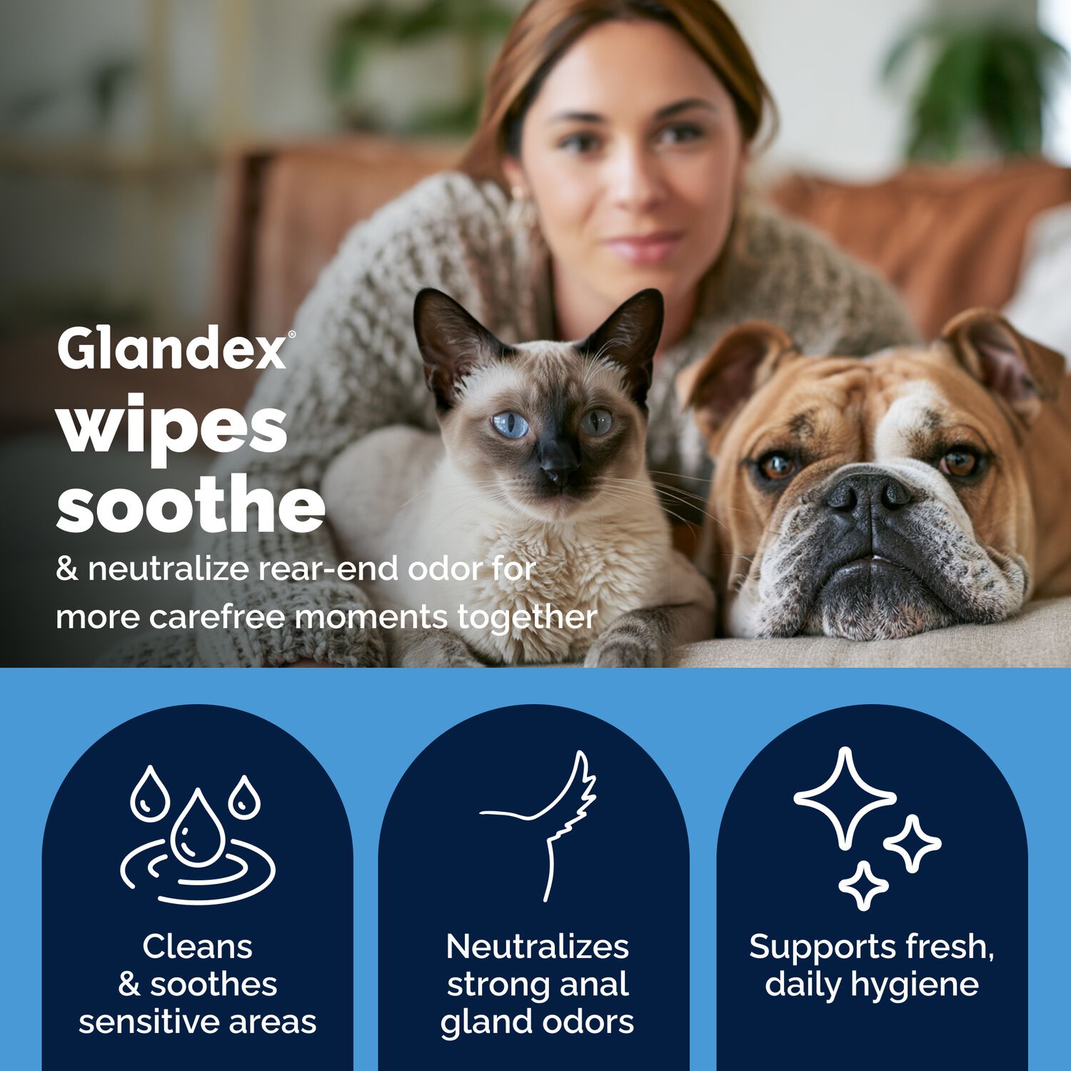 Vetnique Glandex Rear End Wipes For Dogs & Cats, Anal Gland Hygiene | Deodorizing Dog & Cat Wipes For Paws & Butt, Boot The Scoot With Deoplex Enzyme, Aloe & Vitamin E, Alcohol Free, 75-Ct