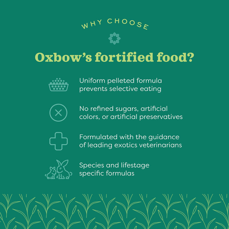 Oxbow Essentials Senior Guinea Pig Food, 