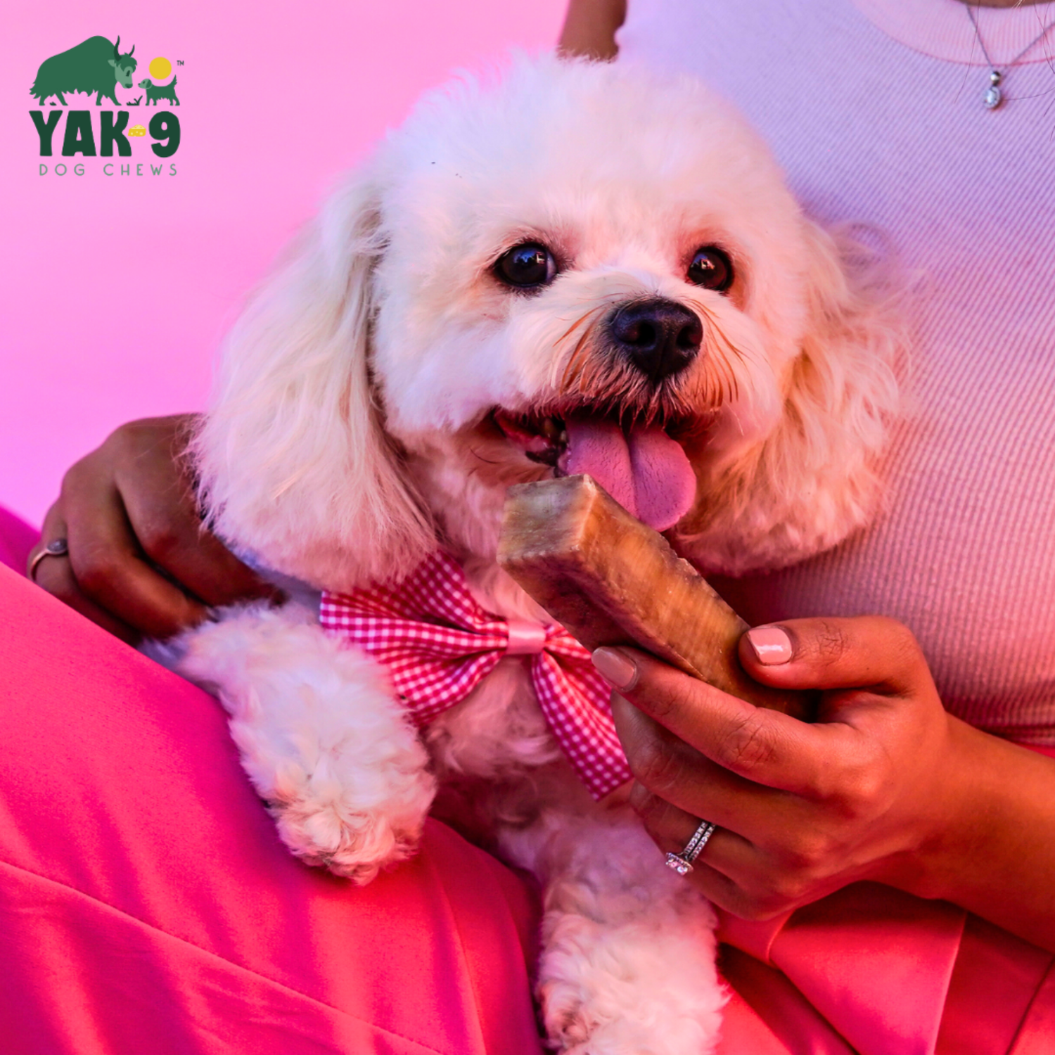 Yak9 Chews Natural Yak Cheese Chews Dog Treats, Strawberry, Small, 3-Pack