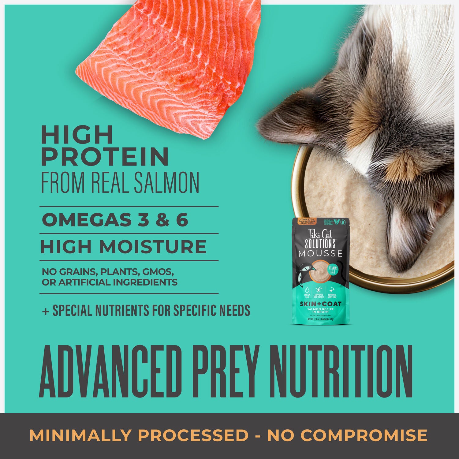Tiki Cat Solutions Mousse Wet Cat Food, Skin + Coat, Salmon Recipe In Broth, 2.4-Oz Pouch Pack Of 12
