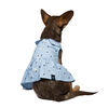 Gap Blue Paw Print Collared Dog Dress