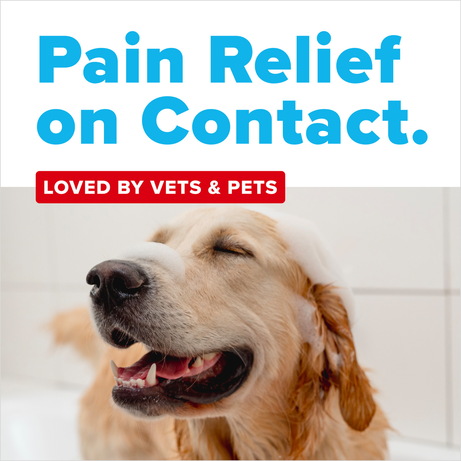 Tropiclean Oxymed Vet Strength Hot Spot Medicated Dog Shampoo, 20-Oz