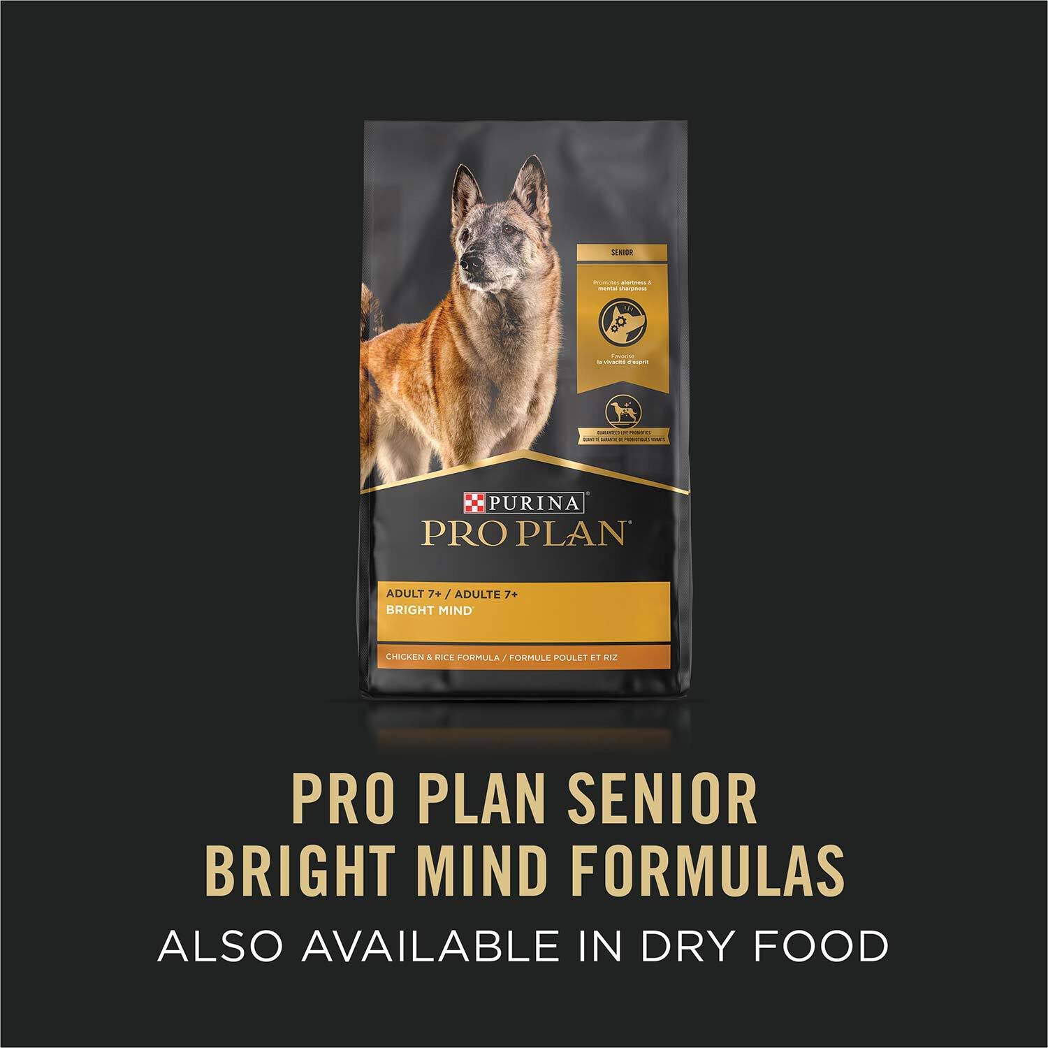 Nourriture Pour Chien Purina Pro Plan Large Breed Senior Dog Food