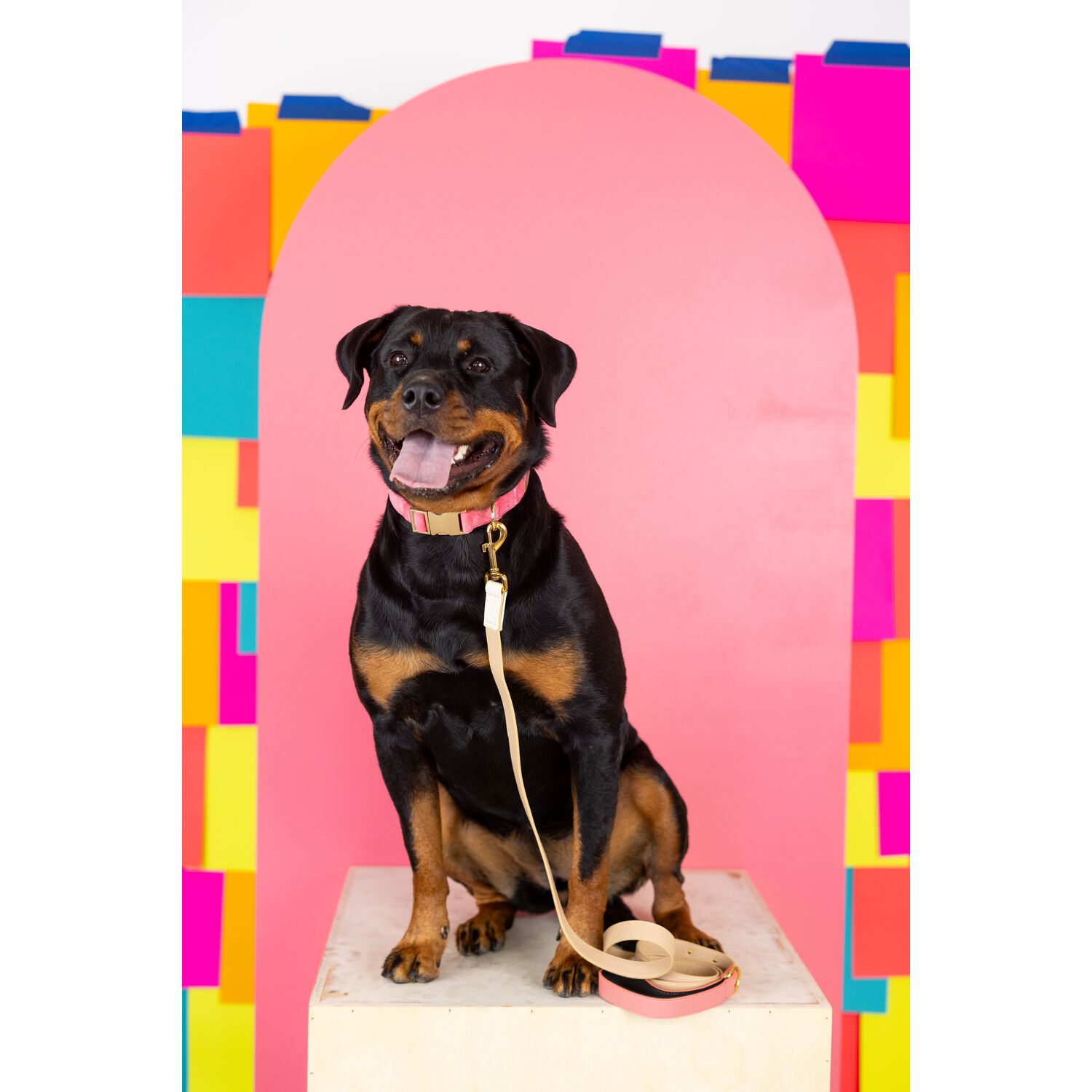 Pink Papyrus Lola Vegan Leather Dog Leash, 6 Feet Long