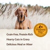 Core Hearty Cuts Whitefish & Salmon Dog Food