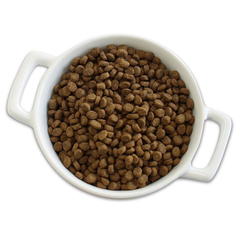Purrfect Bistro Grain Free Healthy Kitten Recipe image number 6