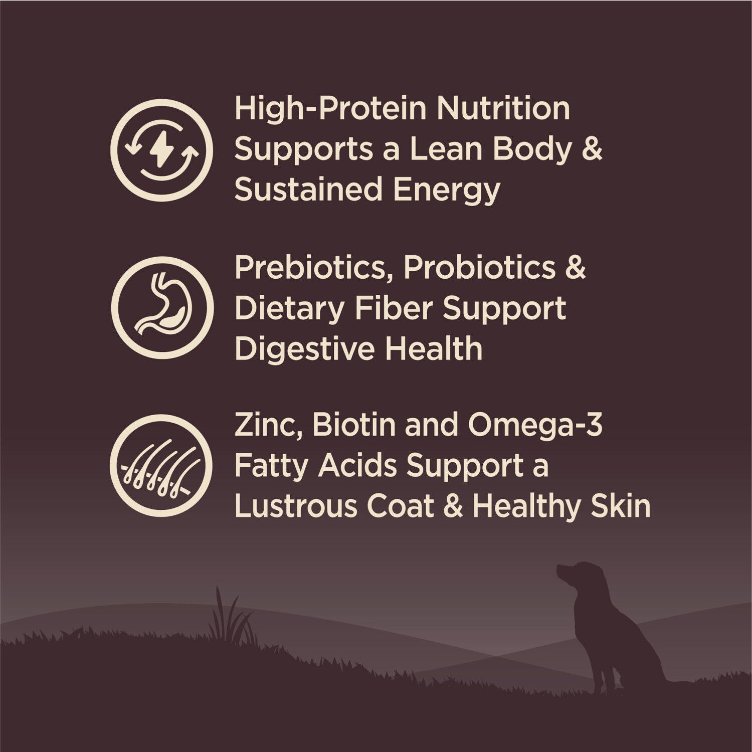 Wellness Core Natural Grain-Free Dry Dog Food, Ocean Whitefish, Herring & Salmon Recipe, 22-Lb