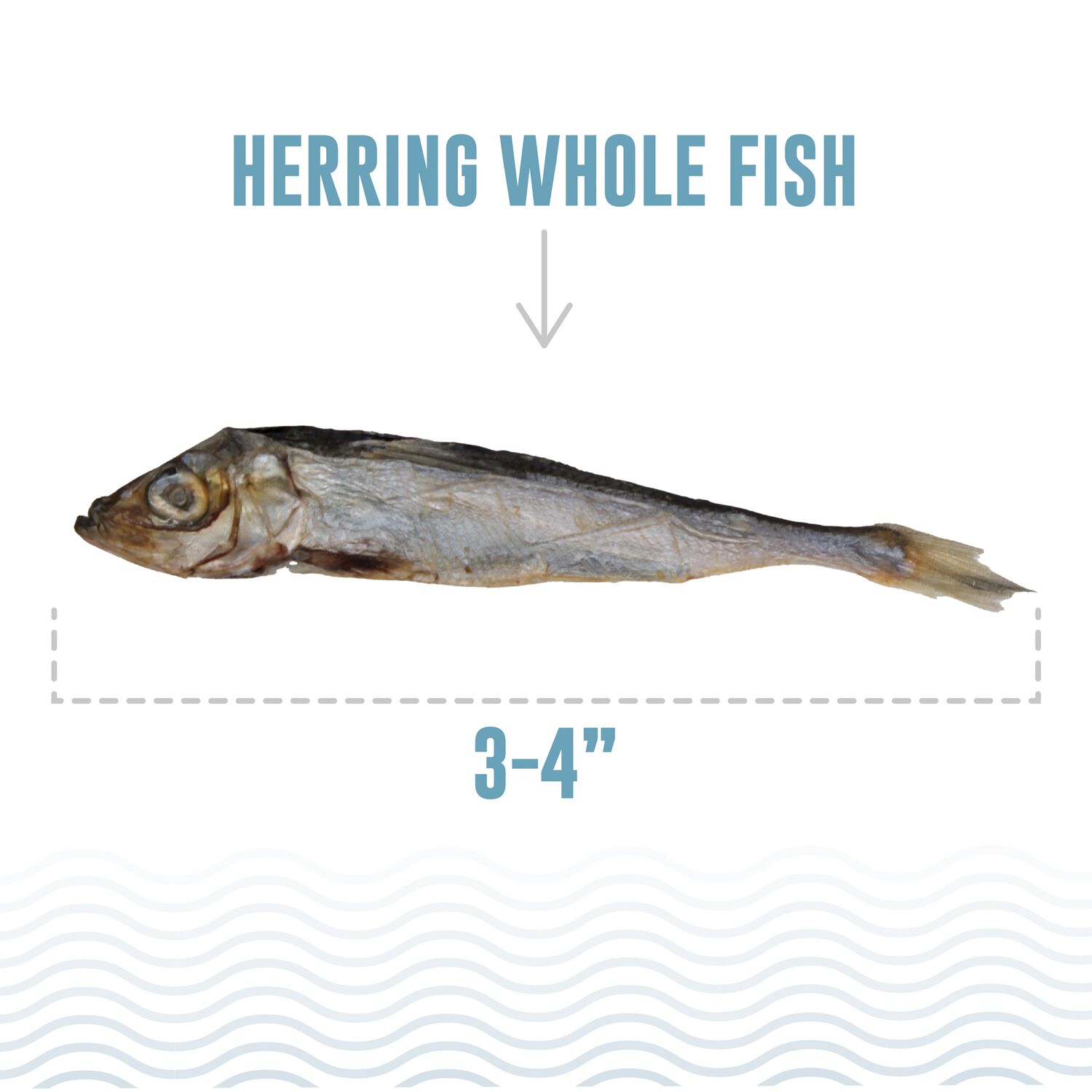 Icelandic+ Herring Whole Fish Single-Ingredient Dog Treats, 3-Oz.