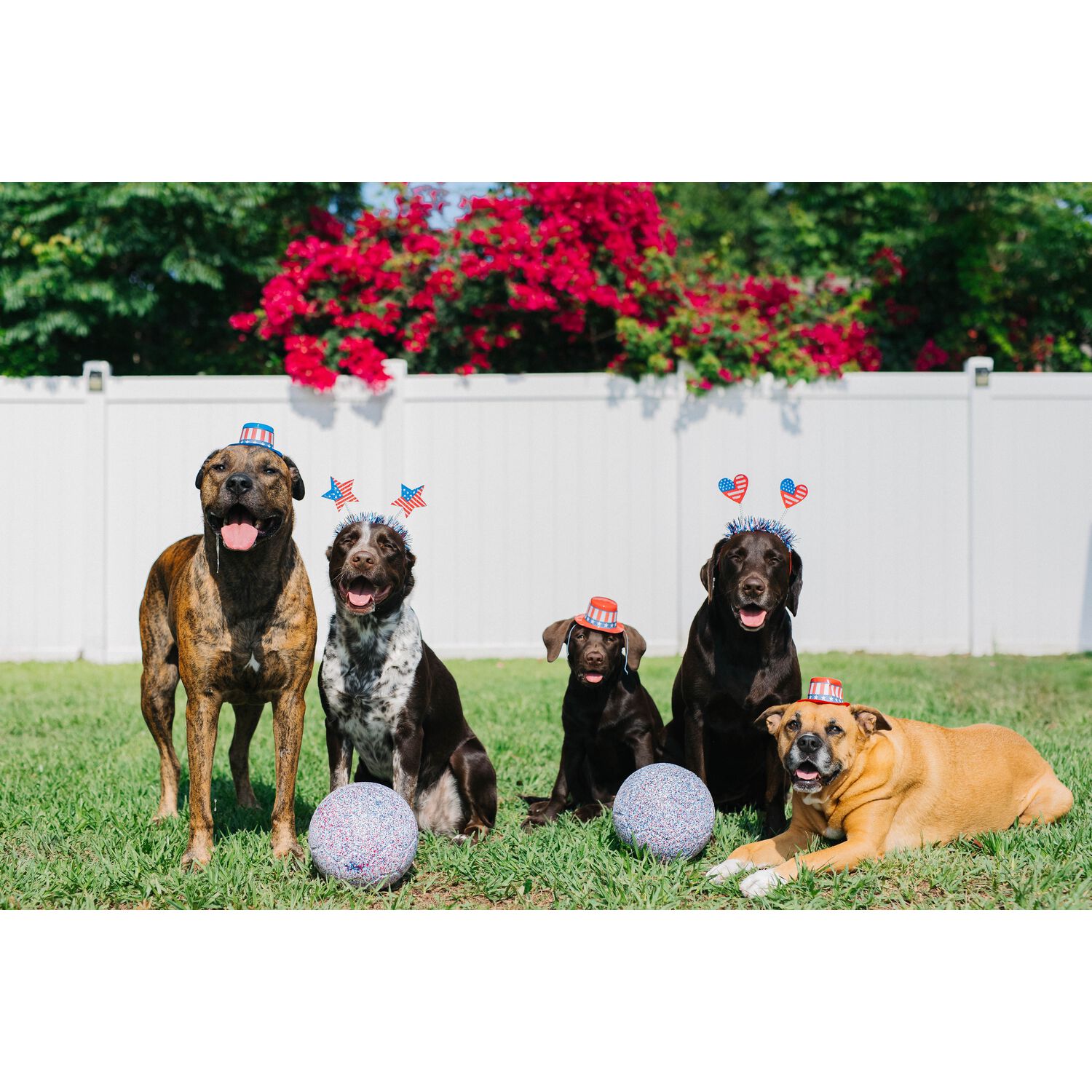Jolly Pets Red, White, And Blue Jolly Soccer Ball Dog Toy, 8"