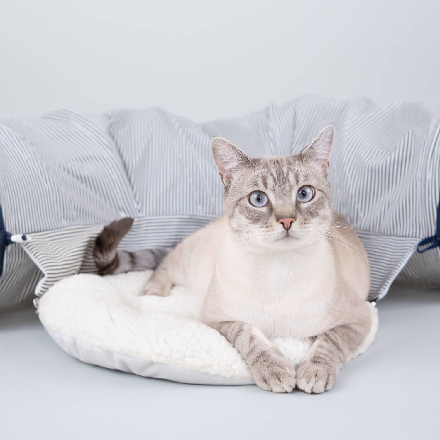 Gap Railroad Stripe Cat Tunnel & Cat Bed