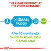 X Small Puppy Dog Food thumbnail number 4