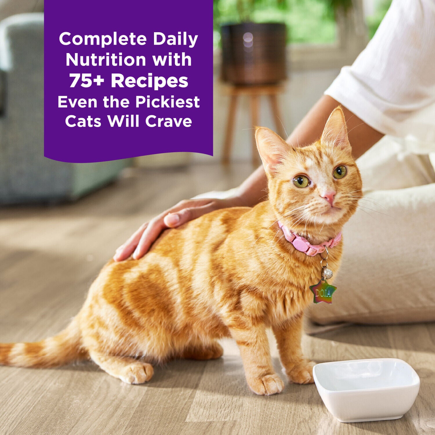 Wellness Complete Health Grilled, Adult Wet Cat Food, Natural, Protein-Rich, Grain-Free Turkey And Turkey Liver Dinner Recipe, 3 Ounce