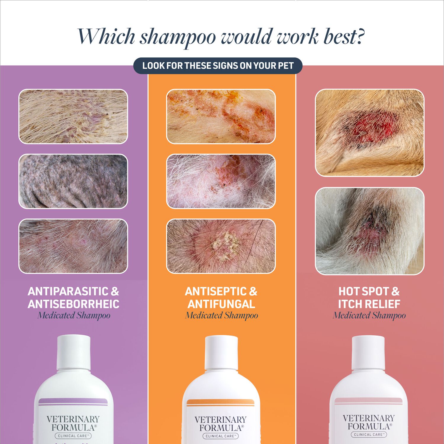 Veterinary Formula Hot Spot & Itch Relief Medicated Cat & Dog Shampoo, 16-Fl-Oz Bottle