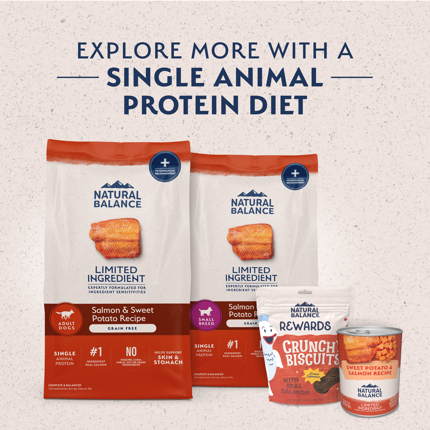Natural Balance Limited Ingredient Grain-Free Salmon & Sweet Potato Recipe Dry Dog Food, 4-Lb Bag