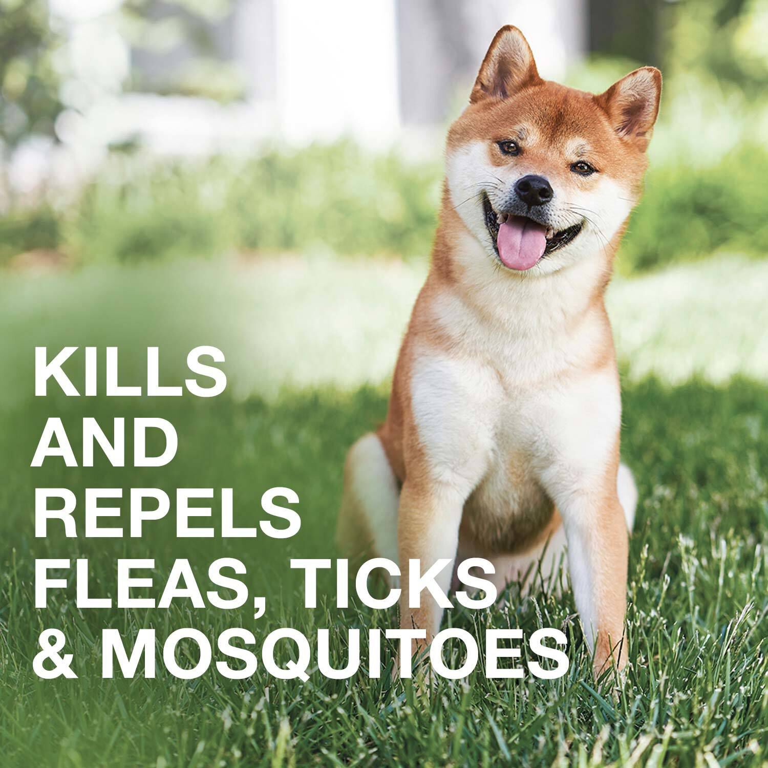 Elanco K9 Advantix Ii Topical Flea, Tick & Mosquito Treatment & Prevention For Small Dogs (4-10-Lbs), 6-Months Of Protection