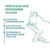 Tapeworm Dewormer For Cats thumbnail number 3