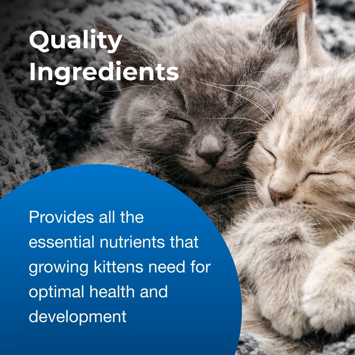 Petag Kmr Kitten Milk Replacer Powder For Kittens, 6-Oz Can
